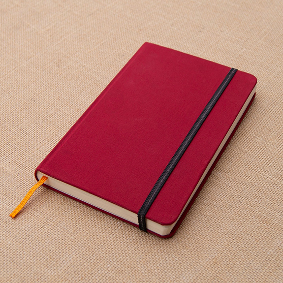 Diary-1.2